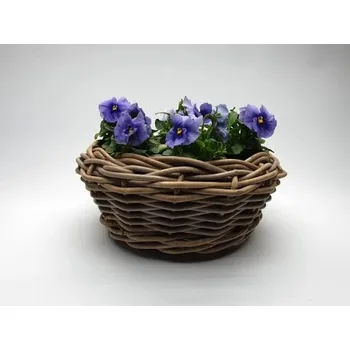 Proutěný košík malý nízký s plastovou výplní