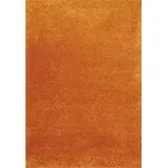 Balta, Výprodej: Kusový koberec Expo Shaggy 5699-388, 200x290, oranžová, kancelář