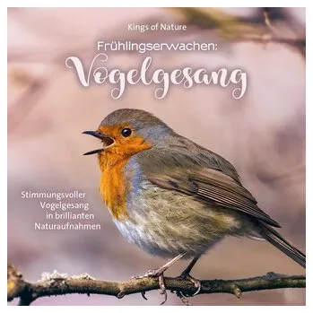 Frühlingserwachen: Vogelgesang
