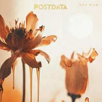 Zahraniční hudba CD Postdata: Run Wild 2023