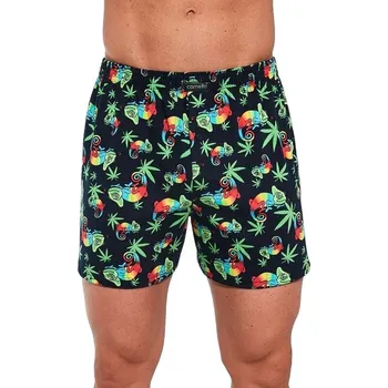 Trenýrky Trenky Chameleon Classic 1135 černé L - Dárková krabička