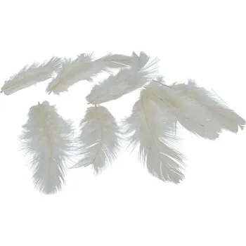 Lapač snů Peříčka Titanum 10 g - krémová