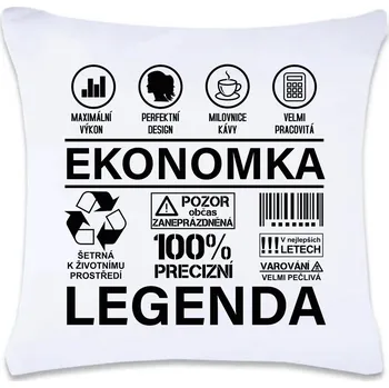 Dekorativní polštářek DOBRÝ TRIKO Polštář s potiskem 40 x 40 cm Ekonomka legenda Oboustranný tisk: NE