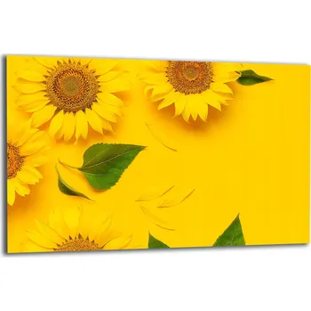 Obraz Krájecí deska TMK ArtDeko sklo 1 ks