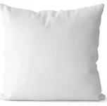 Výplň polštáře 50x50 cm Obraz