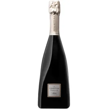 Ferghettina Franciacorta Satén, DOCG, Metodo Classico, Ferghettina, 12,5%, 0,75l
