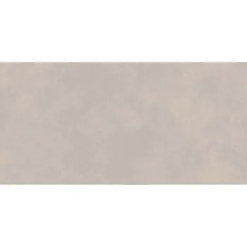 Dlažba DLAŽBA CAMPA LIGHT GREY MAT 59,8X119,8 (II. JAKOST)