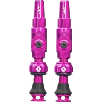 pumpička Big Bore Lite Tubeless Valves Pink Medium