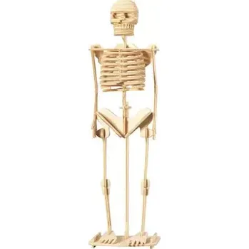 3D puzzle Woodcraft construction kit Woodcraft Dřevěné 3D puzzle Kostra