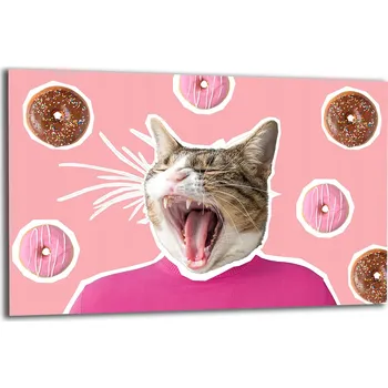 Příslušenství pro sporák SKLENĚNÁ OCHRANNÁ DESKA NA SPORÁK 80x52 KOČKA Tvrzené Sklo KUCHYNĚ 7v1