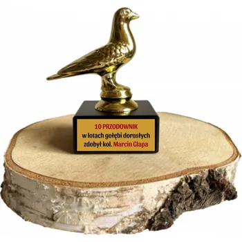 Holub soška holuba nejlepší chovatel