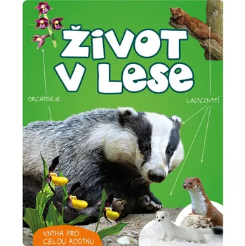 Bystrá hlava Život v lese - Wojciech Gil - 978-80-7639-159-8 978-80-7639-159-8