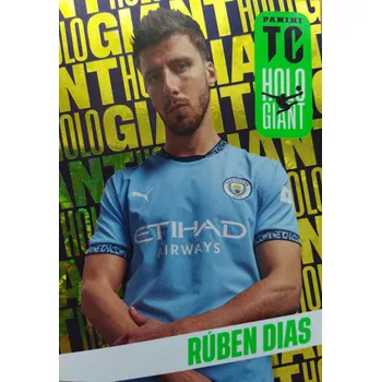 Sběratelská karetní hra Ruben Dias