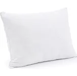 Dreamhouse Zdravotní antialergenní polštář 4D 50x70cm