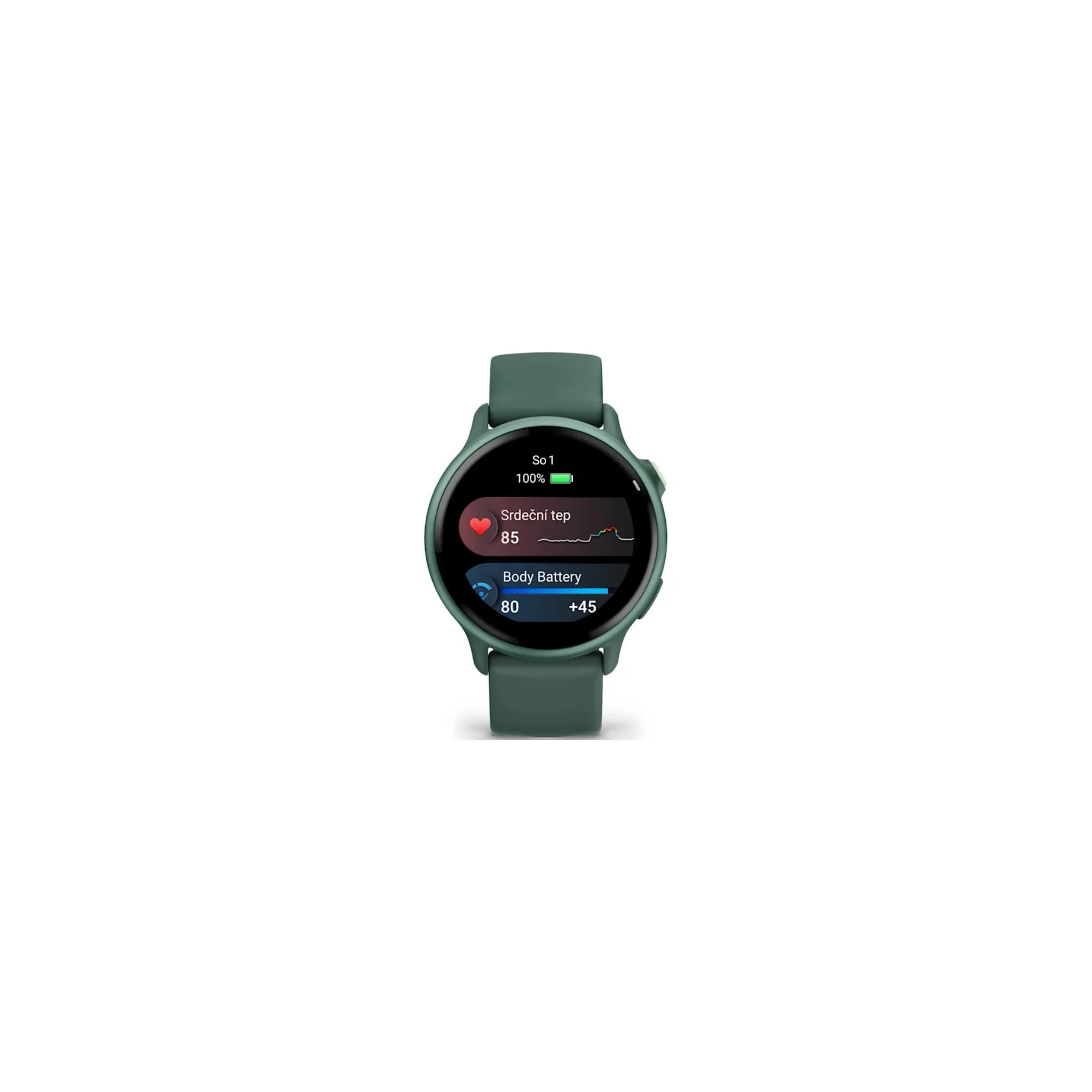 Fotografie 5 - Chytré hodinky Garmin vívoactive 6 Metallic Jasper Green/Jasper Green