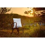 Ložnice21. Polštář Bamboo proti nadměrnému pocení Rozměr: 50x70 cm zip+vak (670 g)