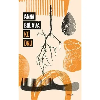 Ke dnu - Anna Bolavá - 978-80-207-2216-4 978-80-207-2216-4