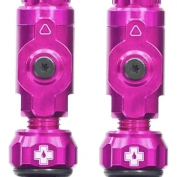 pumpička Big Bore Lite Tubeless Valves Pink Small