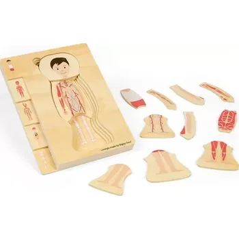 Puzzle Bigjigs Toys puzzle Anatomie chlapec