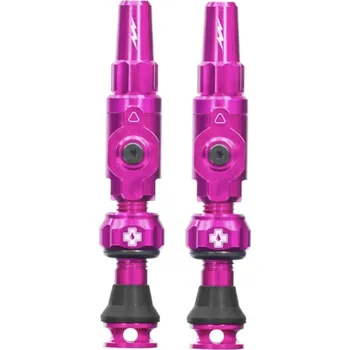 pumpička Big Bore Hybrid Tubeless Valves Pink Medium