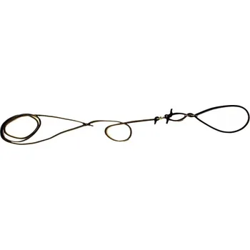 Vodítko pro psa Zubíček Předváděcí vodítko z kulaté kůže - 6 mm Barva kůže: Přírodní