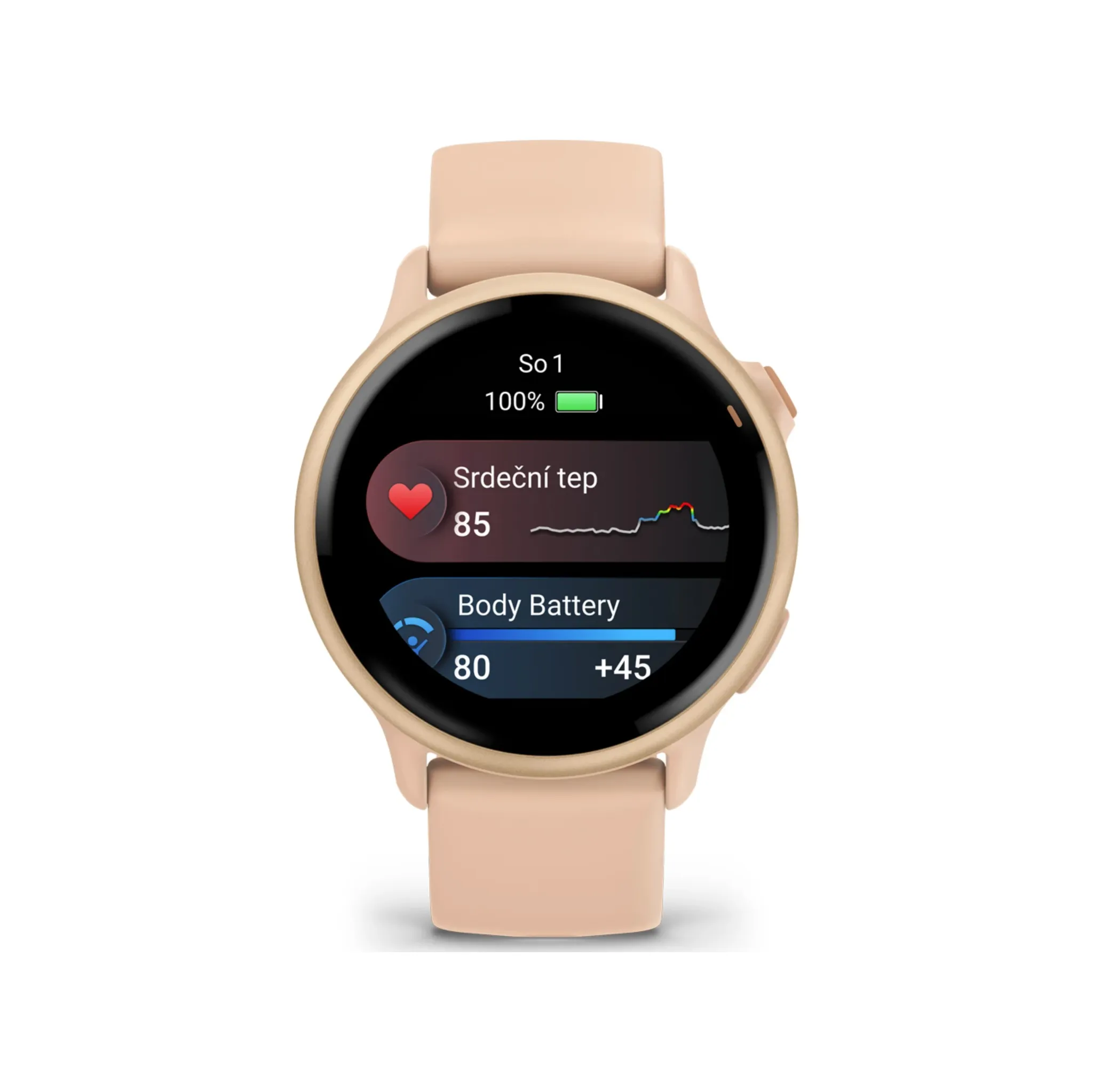 Fotografie 5 - Chytré hodinky Garmin vívoactive 6 Metallic Pink Dawn/Pink Dawn