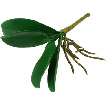 Obraz Listy pro orchidej 23 cm EV26