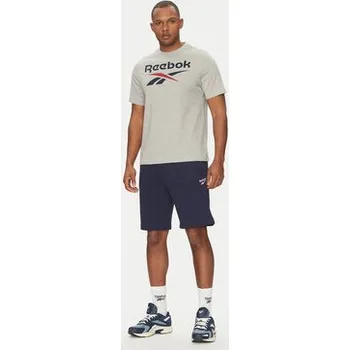 Reebok T-Shirt 100217137 Šedá Regular Fit M