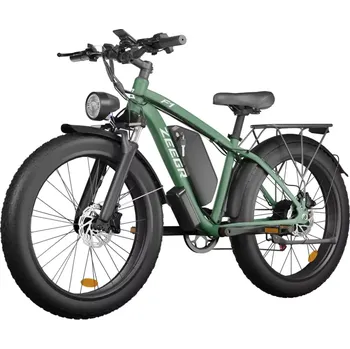 Elektrokolo Fatbike Beach Cruiser F1 Zelená
