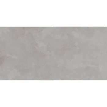 Stavební materiál EBS Cosmopolita dlažba 60x120 silver matná