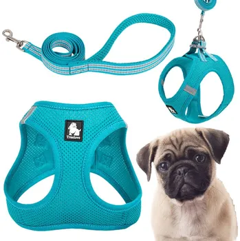Vodítko pro psa Postroj + vodítko pro malého psa a kočku Truelove Mini Mesh modrá L