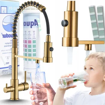 Vodovodní baterie Kuchyňská stojánková baterie Ari Solid Spring zlatá