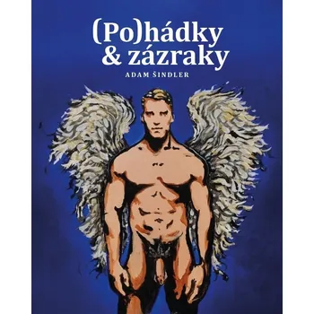 Erotická kniha Adam Šindler: (Po)hádky & zázraky, ilustrovaná, gay erotická kniha povídek