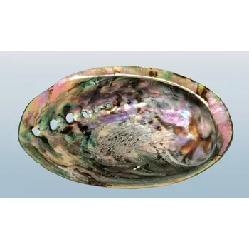 Vykuřovací miska na svazky - natur Paua abalone