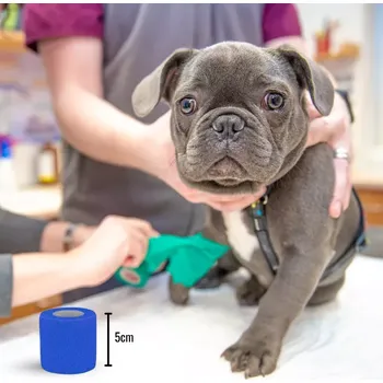 Obinadlo elastické samofixační 5cmx4,5m modré