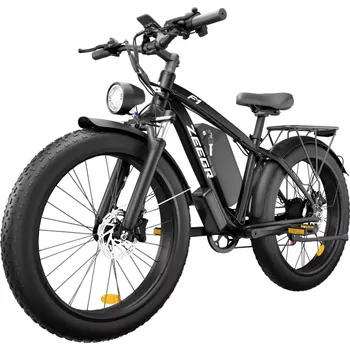 Elektrokolo Fatbike Beach Cruiser F1 Černá