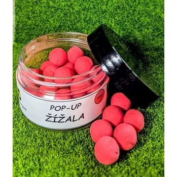 Boilies Fishing cat Žížala 11mm 60ml Pop-Up Boilies