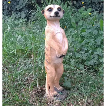 Zahradní dekorace Prodex Import Surikata polyston stojící