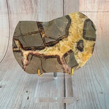 Přírodní kámen Septárie leštěná plátek 8 cca 8,2 x 12,8 cm, 321 g