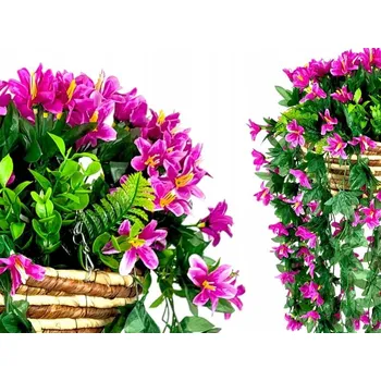 Obraz Pelargonie, Lilie, Petunie - Květiny na Balkon do Závěsného Květináče