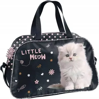 Sportovní taška Sportovní taška Paso