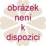 Dámský župan Satinia robe black černé S/M