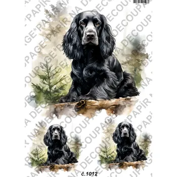 Umělecký papír Rýžový a soft papír na decoupage - Kokršpaněl - KB01012 Materiál: Soft, Rozměr: A4