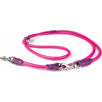 Vodítko pro psa Vodítko Timely kůže 2,2 m