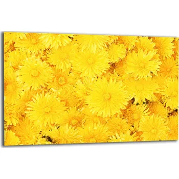 Obraz Krájecí deska TMK ArtDeko sklo 1 ks