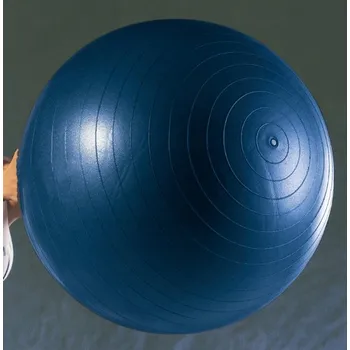 Gymnastický míč Klasický míč na cvičení Everlast 75 cm, odstíny modré