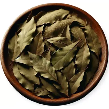 Koření Herbi Bobkový list celý, 10 g