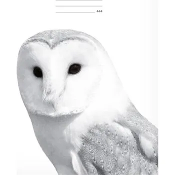 Sešit Školní sešit Lux A4 444, linka, 40 listů, sova