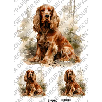 Umělecký papír Rýžový a soft papír na decoupage - Kokršpaněl - KB01010 Materiál: Soft, Rozměr: A4