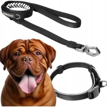 Obojek pro psa Materiálový obojek pro psa s reflexními prvky Dogness, velikost XL
